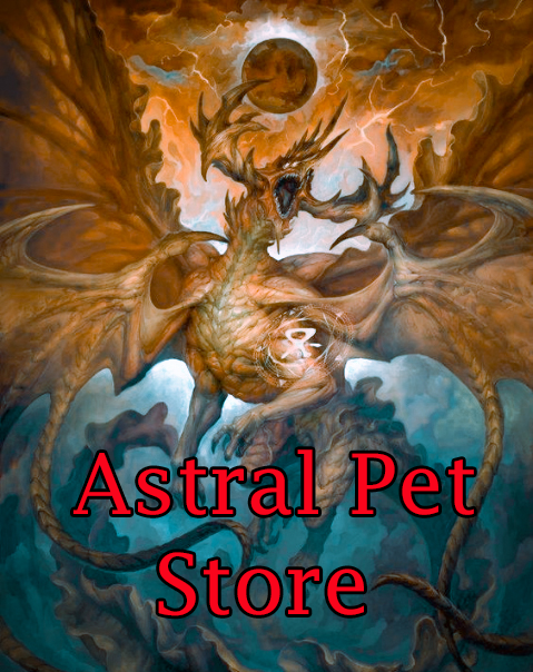 Astral Pet Store novel